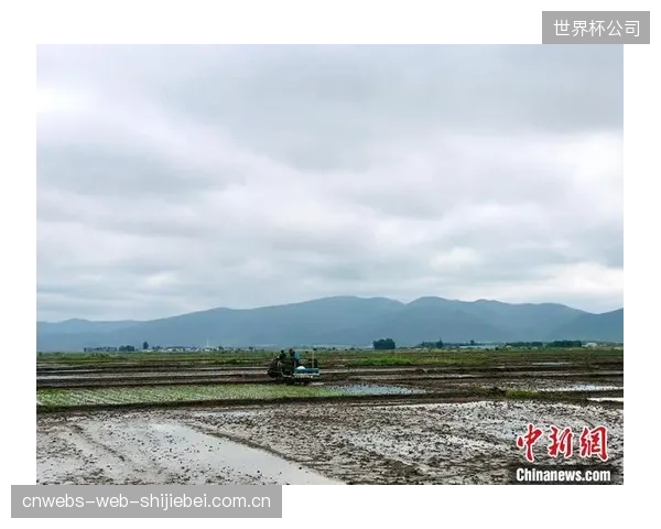 医疗团队将采用科学手段帮助球员调整生物钟，确保在比赛日达到最佳生理状态。
